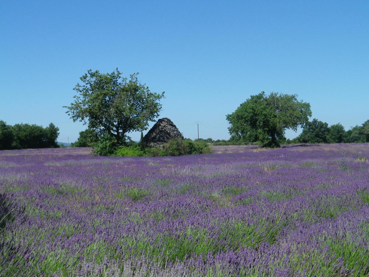 La Mordoree La Motte-d'Aigues Екстер'єр фото