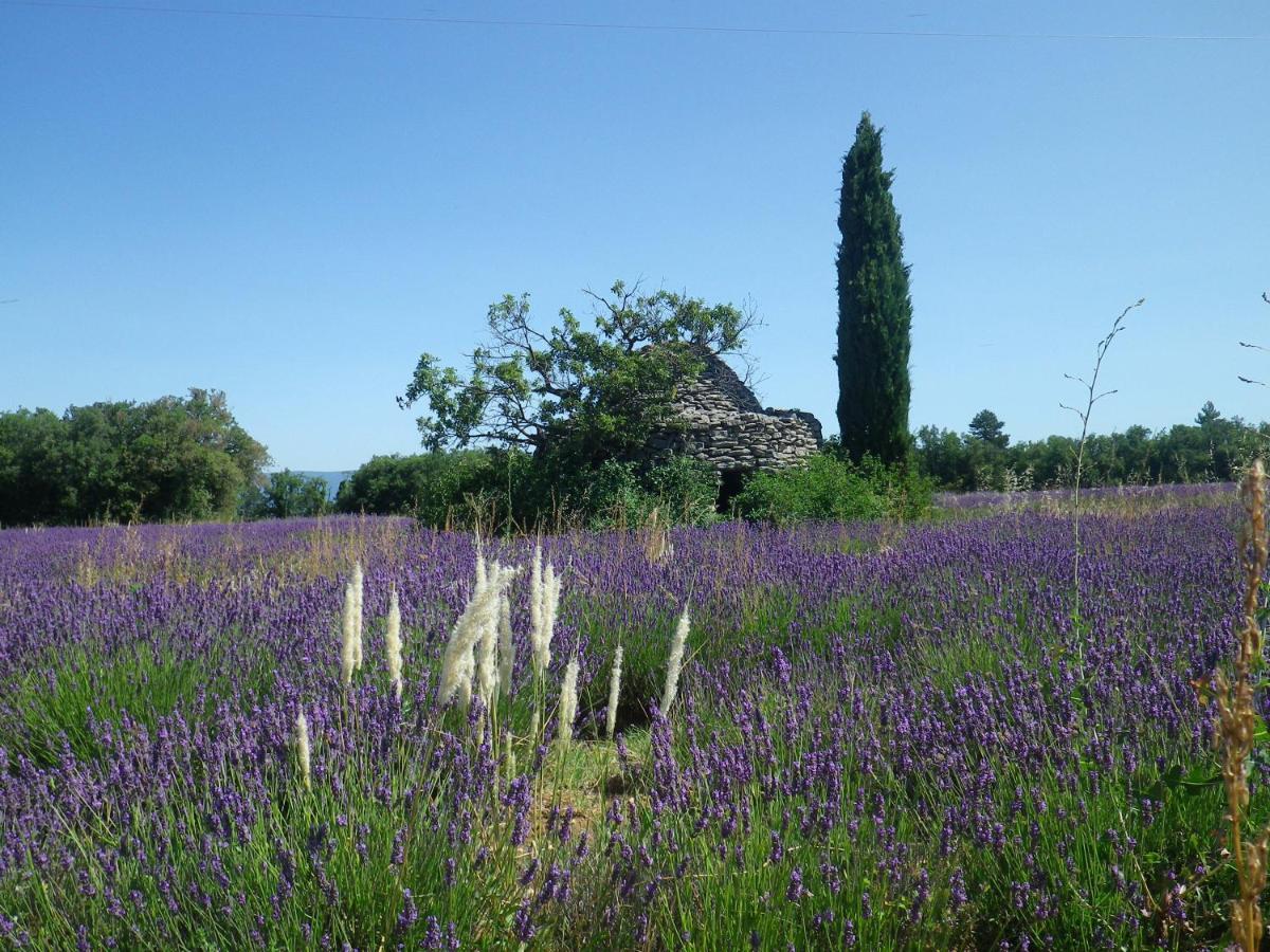 La Mordoree La Motte-d'Aigues Екстер'єр фото