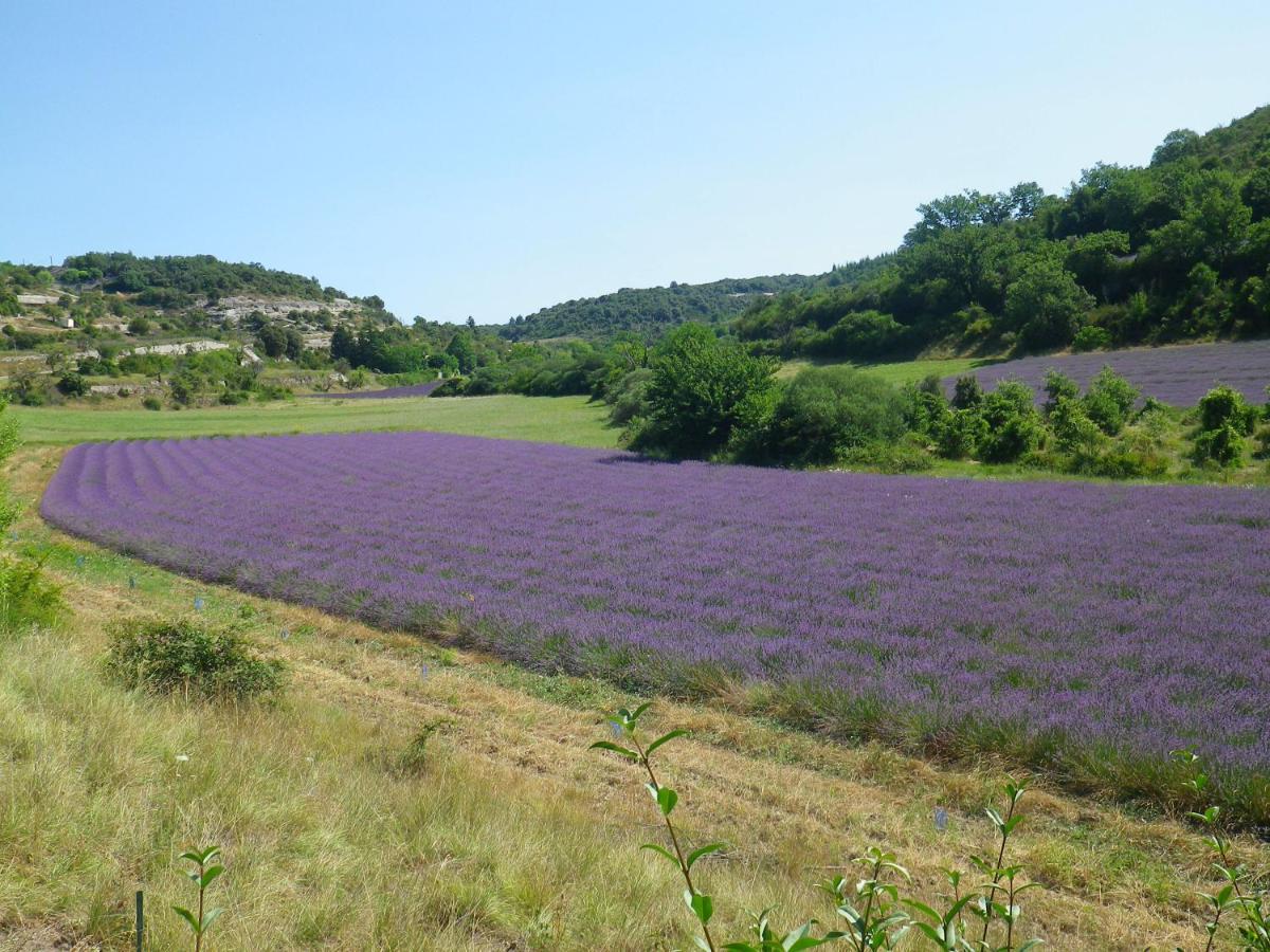 La Mordoree La Motte-d'Aigues Екстер'єр фото